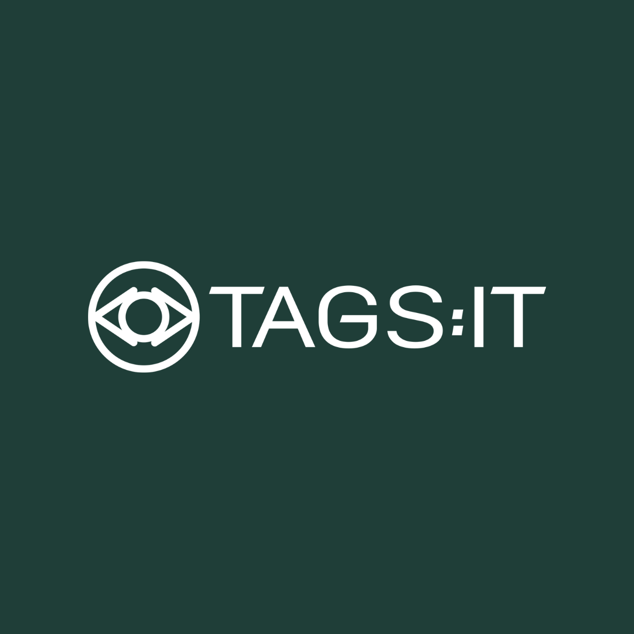 Tags:IT logotyp